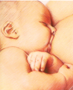 Физиологические особенности и переходные (пограничные)  состояния  новорожденных