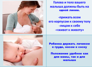 Как правильно приложить малыша к груди1